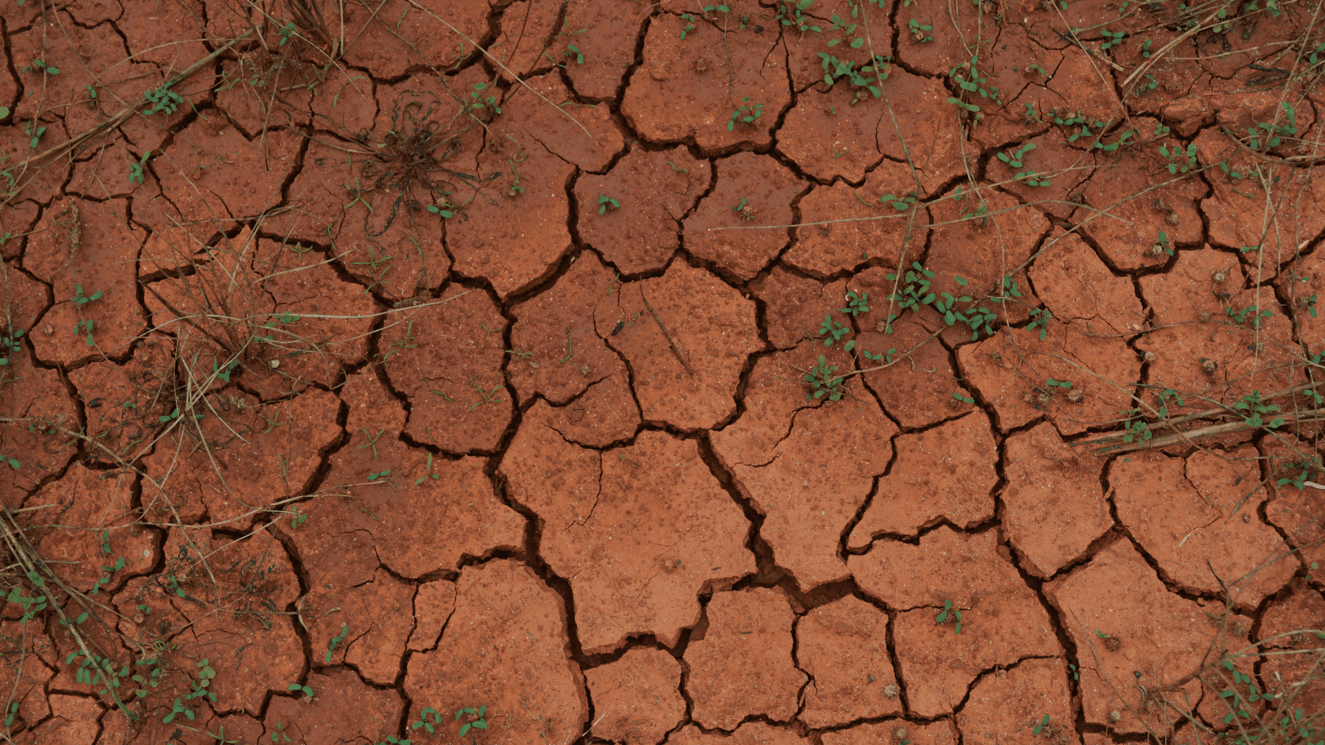 Impacto Ambiental: La Escasez de Agua y sus Consecuencias en el Mundo 